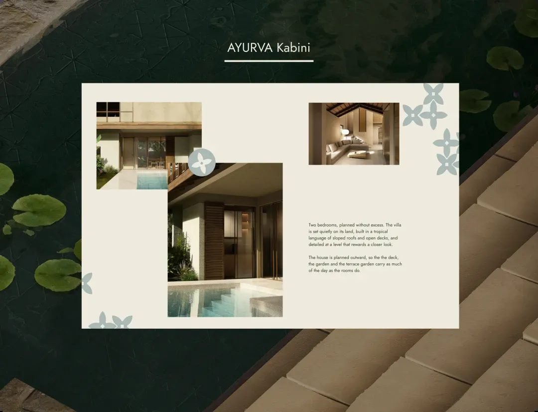 Ayurva project visual 4