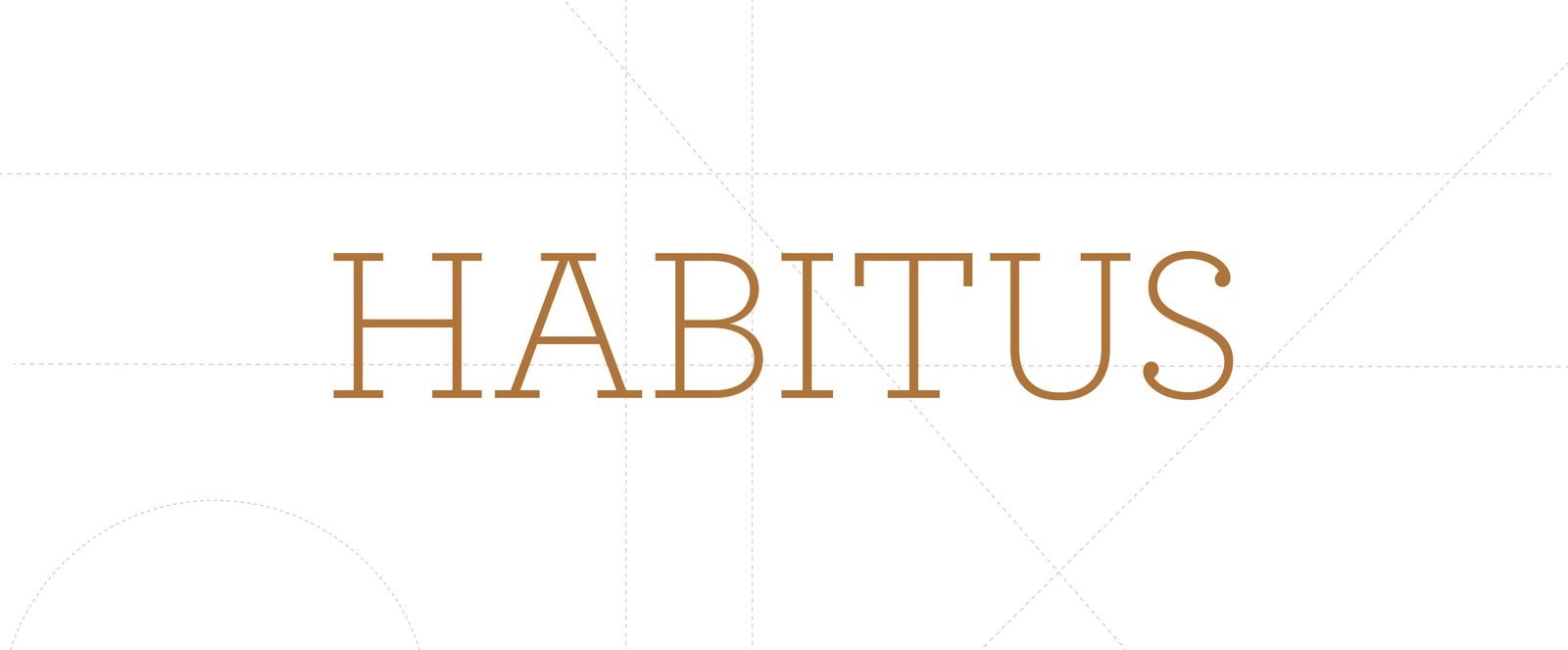 Habitus project visual 2