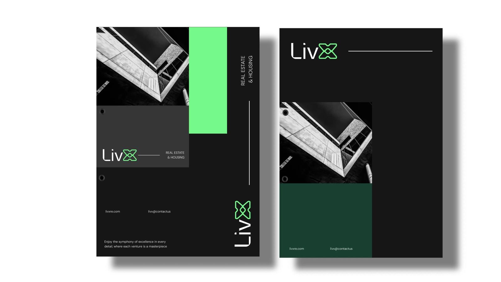LivX project visual 1