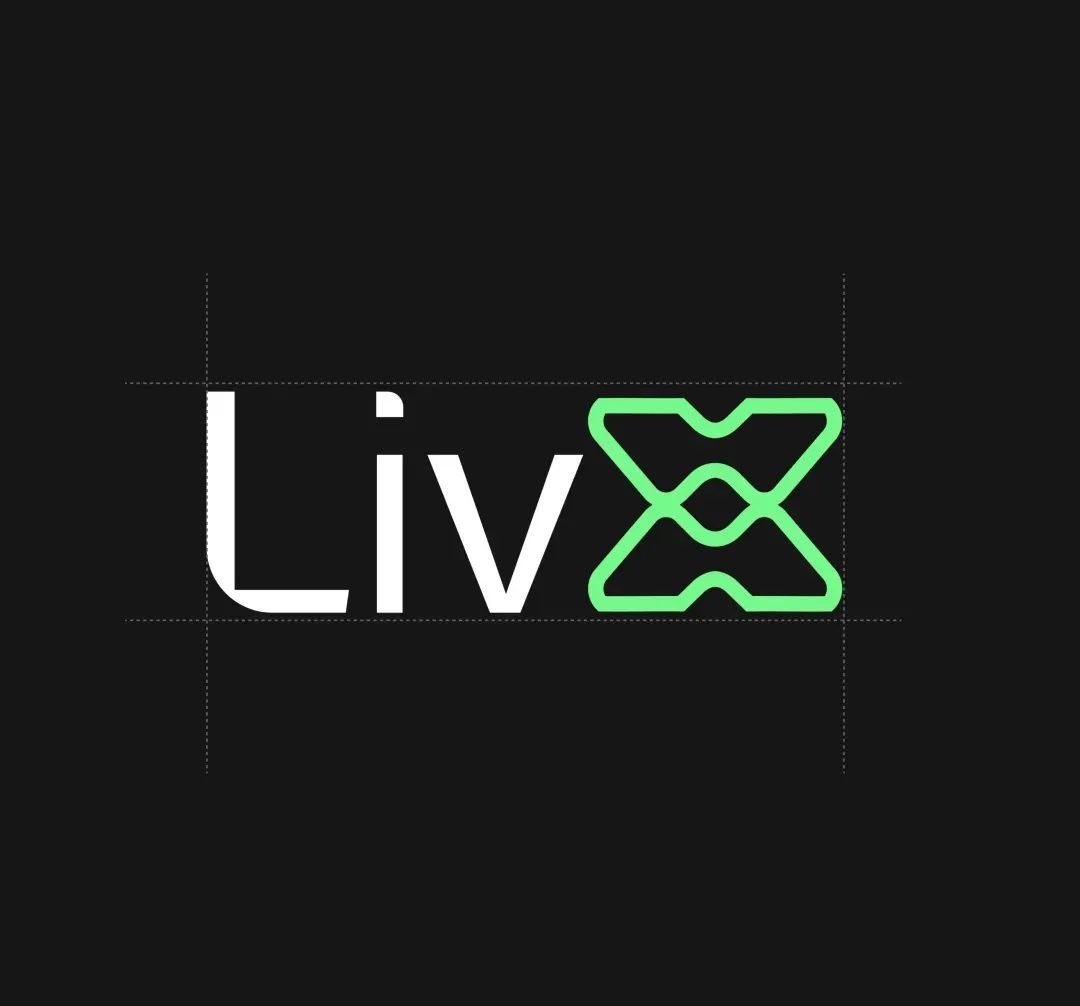 LivX project visual 4