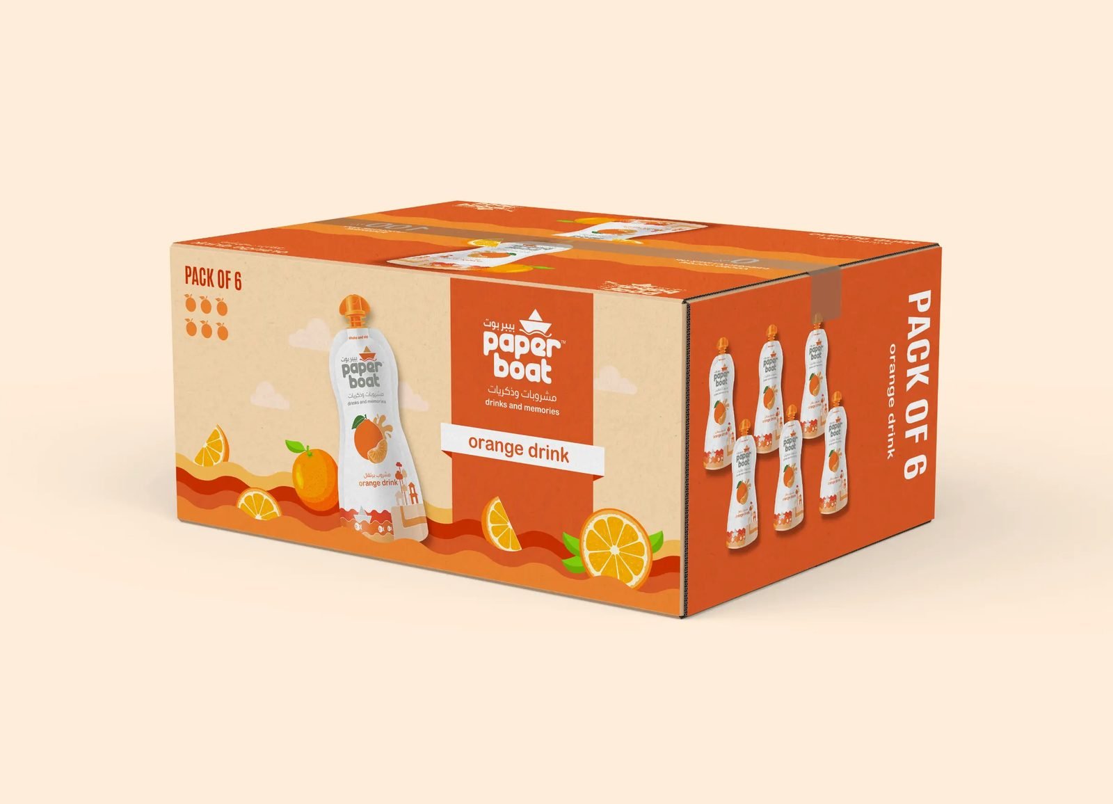 PaperBoat project visual 1