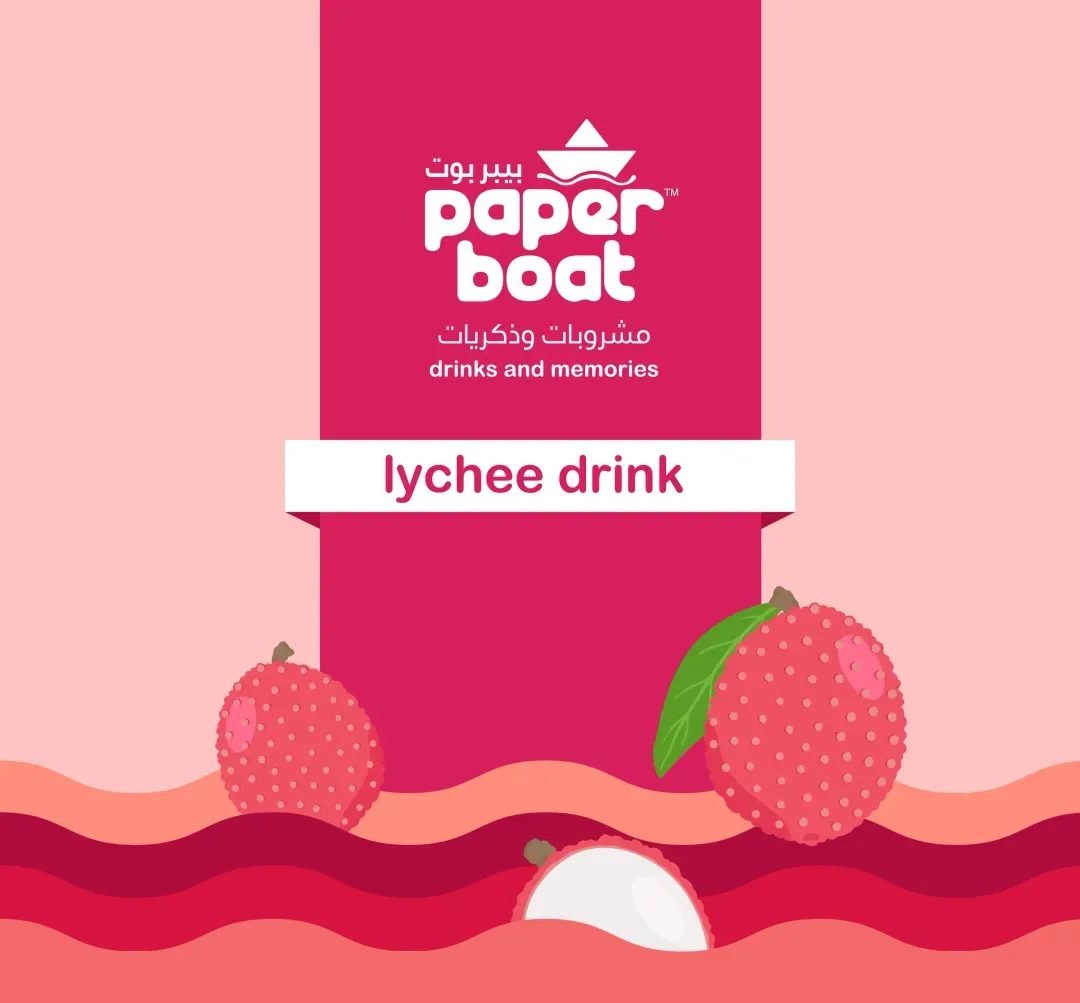 PaperBoat project visual 4