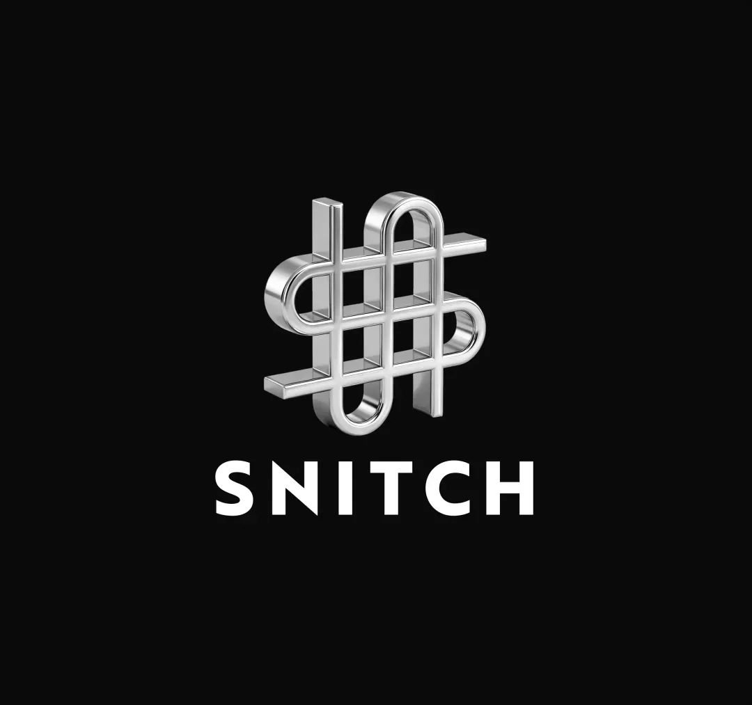 Snitch project visual 3