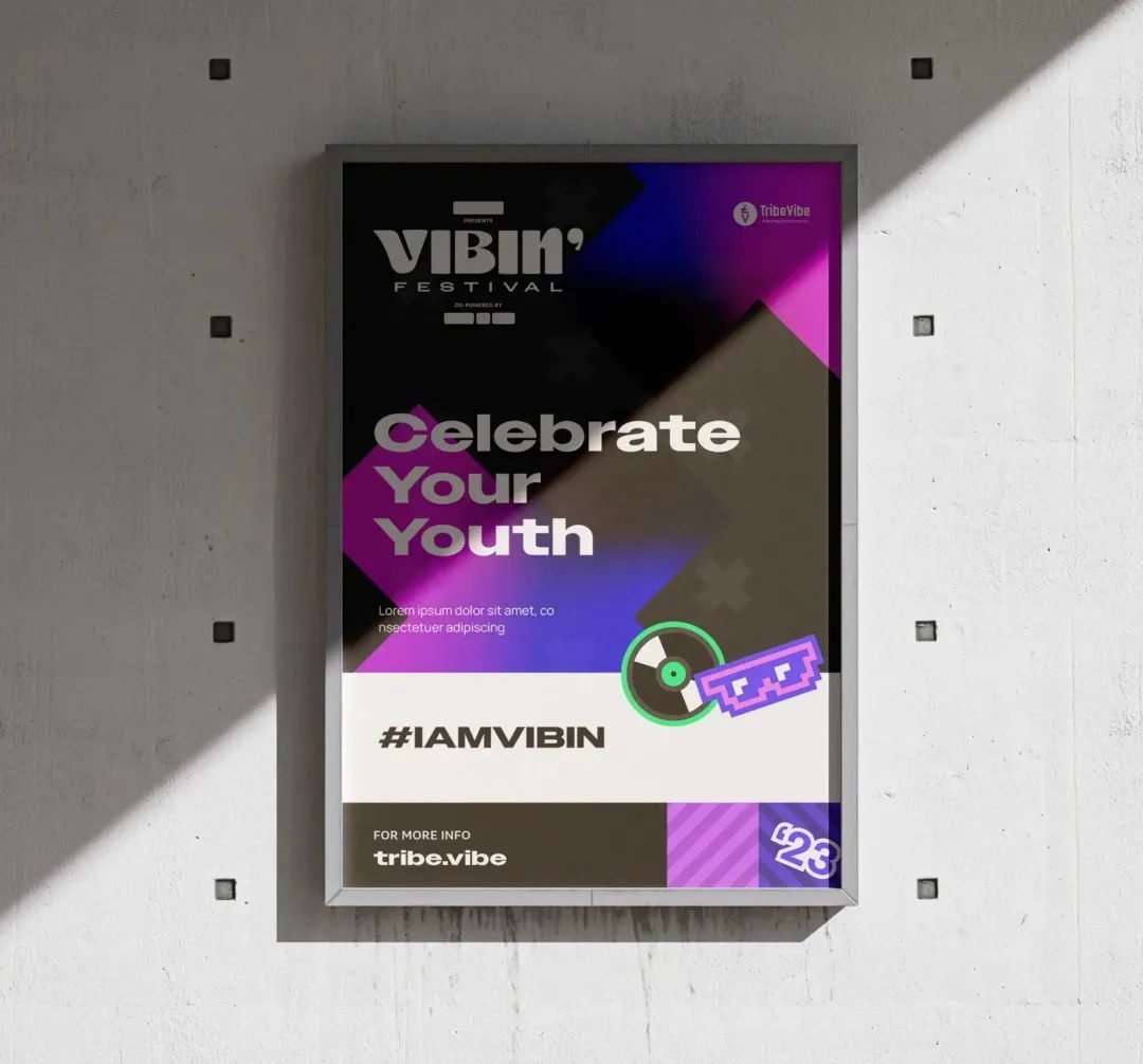 Vibin Festival project visual 4