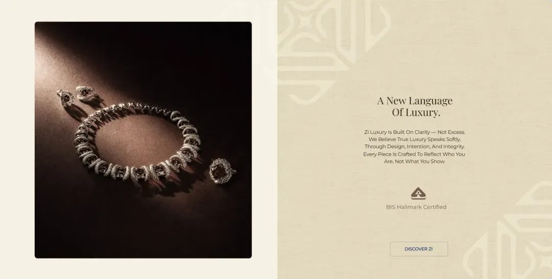 Zi Luxury project visual 5